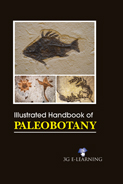 Illustrated Handbook of Paleobotany
