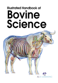 Illustrated Handbook of Bovine Science