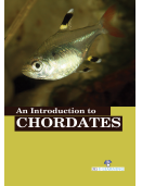 An Introduction to Chordates   